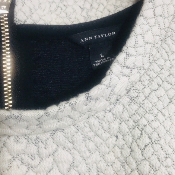 |Ann Taylor| Light Gray Pebbled Blouse Size Large - Picture 3 of 6